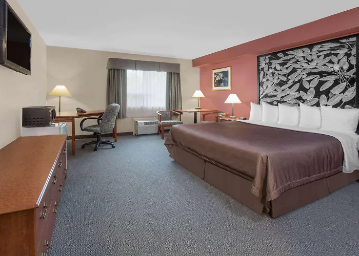 King Room